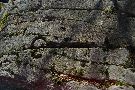 Nápisy na kameni v oblasti Banisko