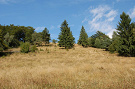Dvoriská