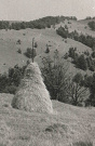Čergovské vrcholové lúky