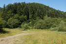 Bačova