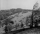 Pohľad na vrch Okrúhla od Oltárkameňa