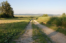 Nad Osikovom
