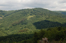 Hrašovík