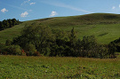 Pasienky nad Červenicou