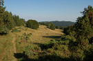 Veľká Javorina