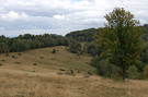 Chochuľka