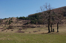 Ostrý horb