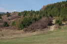 Ostrý horb