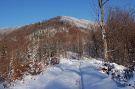 Veľká Javorina