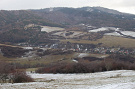 Ľutina