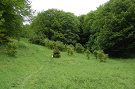 Beh na Minčol - 3 km