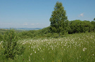 Slatina pri Šarišskom Jastrabí