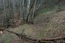 Zaniknutá cesta