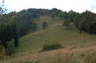 Hrašovík