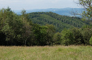 Škaredé