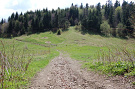 Kalinov