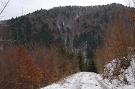 Čeperda
