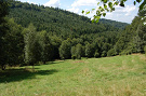 Kovaľova lúka