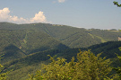 Veľká Javorina, rezervácia Vlčia