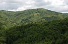 Hrašovík