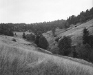 Lúky nad Ambrušovcami