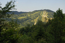 Lysá