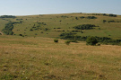 Pasienky nad Šarišským Jastrabím