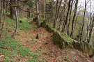 Chyžisko