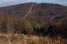 Bukový vrch