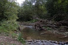 Ľutinka