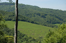Lúky nad obcou Kríže