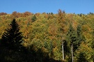 Národná prírodná rezervácia Pramenisko Tople