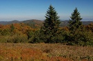 Národná prírodná rezervácia Čergovský Minčol