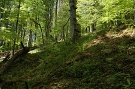 Národná prírodná rezervácia Hradová hora