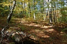 Národná prírodná rezervácia Pramenisko Tople