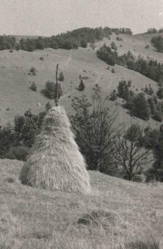 Čergovské vrcholové lúky