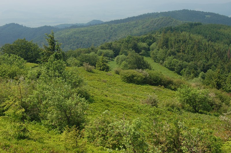 Fotografia z rezervácie Minčol