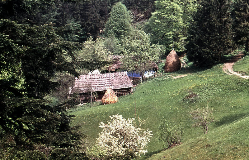 Osada Baranie