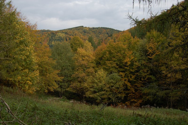 Vrch Čergov od Ambrušoviec