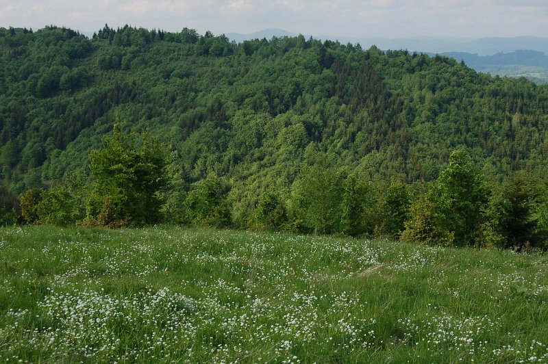 Kozí hrb