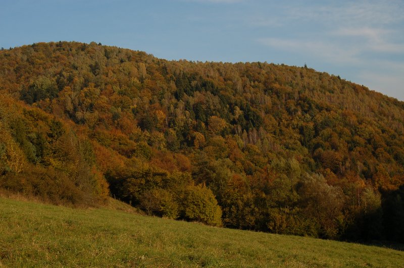 Drištov