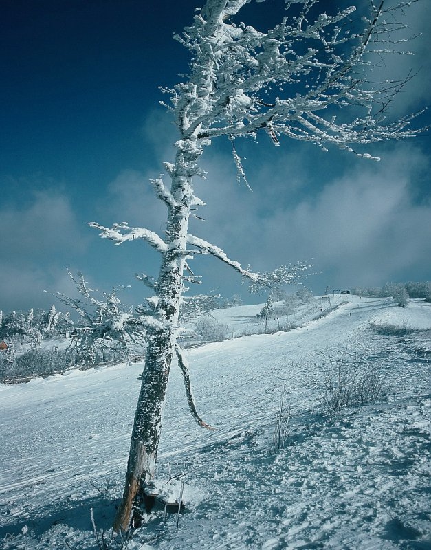 Lysá (ešte bez stožiarov)