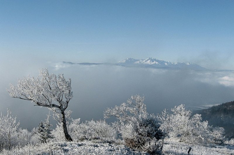 Tatry z Minčola