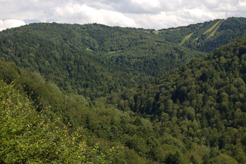 Baranie, Lysá