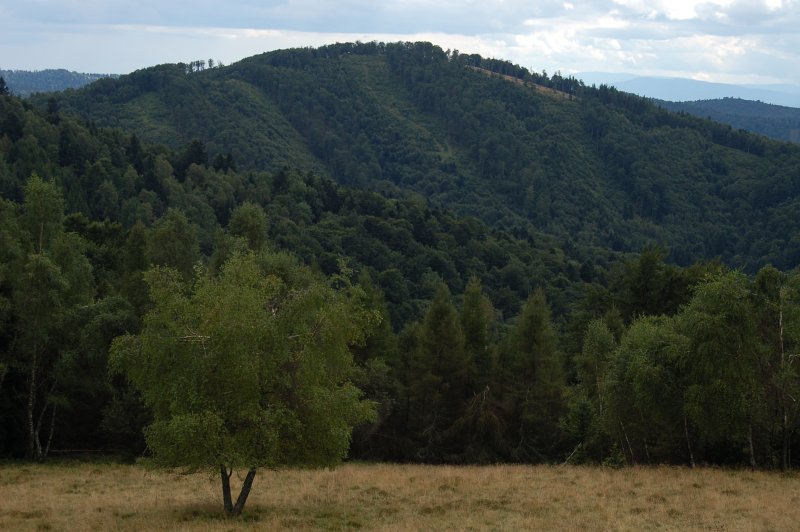 Škaredé zo severnej strany