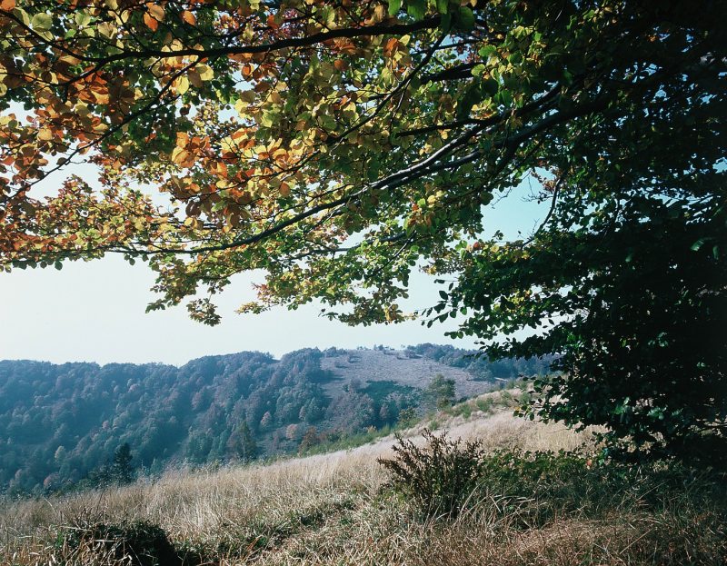 Veľká Javorina