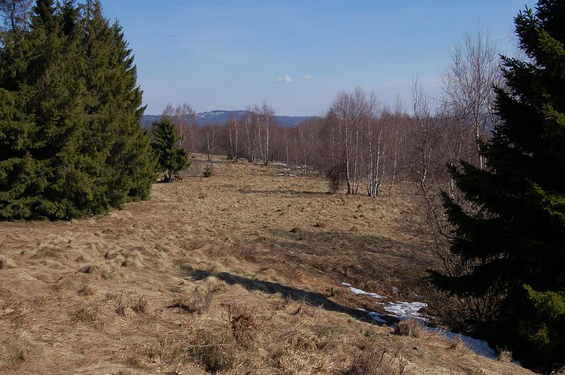 Sedlo Uhlisko (Čopková)