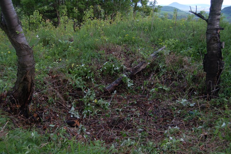 Vlčí dol - po vyčistení