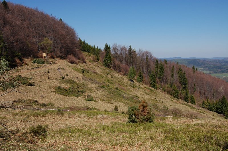 Horská lúka v Sedle pod Dlhou