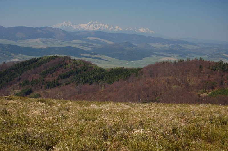 Pohľad z predvrchola Minčola na Tatry